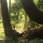 Tommy Cameron Allan - @commietommy88 - Instagram