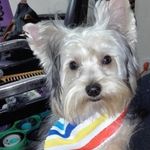 tommy antonio castro - @tommy_antoniopty - Instagram