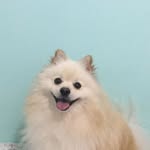 @tommy_castro_09 - Instagram
