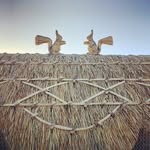 Tom Chalk Master Thatcher - @tomchalkthatching - Instagram