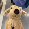 Tommy Chou - @tommy.chou98 - TikTok