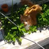 tommychouinard260 - @tommychouinard260 - TikTok