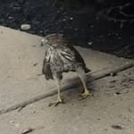 Tommy Cockrell - @cockrell1972 - Instagram