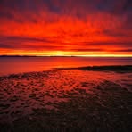 Tommy Corriveau - Facebook