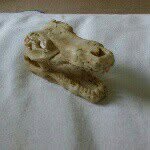 tom craddock - @maths_king_jr - Instagram