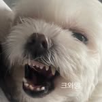 톰미에요 - @tommy__daily - Instagram