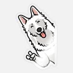 Tommy berger blanc suisse 🤍 - @_tommy.daily_ - Instagram