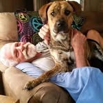 Tommy Daily - @_tommy_daily_ - Instagram