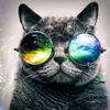 TommyDaily - @tommydaily1 - TikTok