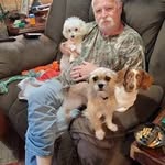 Tommy Dailey - @tdhawkrider - Instagram