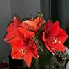 Tommy Danielson - @tommydanielson_3087 - TikTok