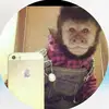 tommy  david - @tommy.david11 - TikTok