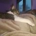 Tommy Decker - Facebook
