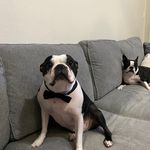 Tommy Dickson - @tommy_dickson32 - Instagram