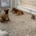 Tommy Dickson - Facebook