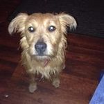 Tommy Dickson - @dickson6327 - Instagram