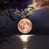 Tommy Douglas - @tommy.douglas38 - TikTok