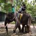 Tommy driver Bali fun Tour - Facebook