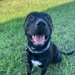 Tommy Echols - @bottom_ofthebottle - Instagram