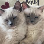 Tommy and Gina Eddy - @tommy.and.gina - Instagram