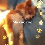 Tommy Ervin - @tervin0408 - Instagram