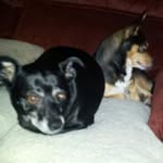 Tommy Eubanks - @tommy.eubanks.3939 - Instagram