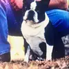 Tommy Farley - @tommy.farley5 - TikTok
