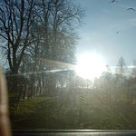 Tommy Ferris - @tommyfez - Instagram