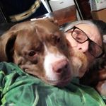 Tommy Finney - @rollerdawg - Instagram