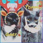 Tommy y Gary - @tomm_ygary - Instagram