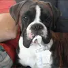 @ Tommy Gibson - @tommygibson2015 - TikTok