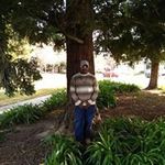 Tommy Gilbert - @tommy.gilbert.562 - Instagram