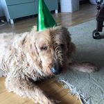 Tommy Gordon - @tommy.gordon.98892615 - Instagram