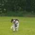 Tommy Grant - Facebook
