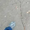 tommygrant🔥 - @grant.tommy - TikTok
