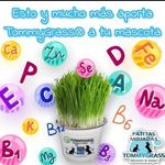 TommyGrass Patitas Mojadas - @patitas.mojadas.tommygrass - Instagram