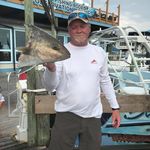 Tommy Greer - @tuff66 - Instagram