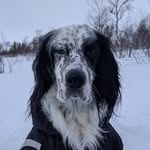 Tommy Hahn - @p.tommy.hahn - Instagram