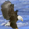 Tommy Hahn - @tommy.hahn1 - TikTok