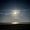 Tommy - @tommy.shelton - TikTok