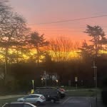 Tommy h - @tommyherring662 - Instagram