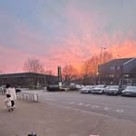 Tommy Herring - @tommyherring31 - Instagram