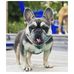 Tommy Hoffman - Facebook