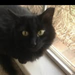 Tommy Howe - @tommy3740012 - Instagram
