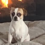 tommy howell - @tommyhowell361 - Instagram