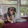 Tommy Hyatt - @tommy.hyatt3 - TikTok