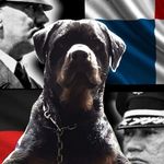 rottweiler tommy jimenez - @rotweiler_tommy_jimenez - Instagram