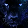 Tommy Kane's - @tommy.kanes - TikTok