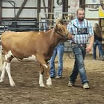 Tommy kemp - @southwind_cattleco - Instagram