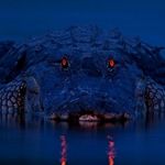 tommy kittrell - @ls3gator - Instagram